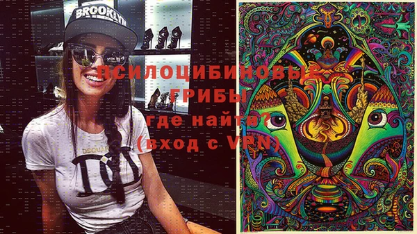 крисы Алзамай
