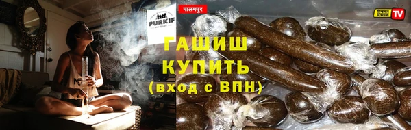 крисы Алзамай