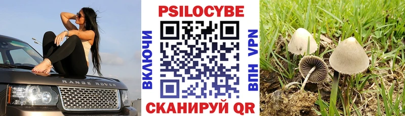 Псилоцибиновые грибы Psilocybine cubensis  KRAKEN tor  Азов 